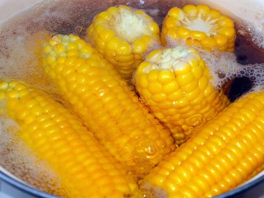 Güzel olgun mısır başakları. Yemek için kaynatma sürecinde.