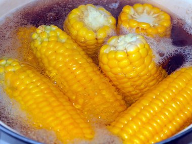 Güzel olgun mısır başakları. Yemek için kaynatma sürecinde.