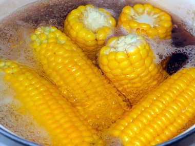 Güzel olgun mısır başakları. Yemek için kaynatma sürecinde.