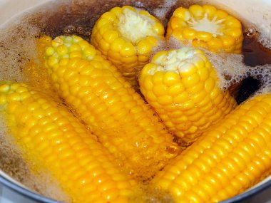Güzel olgun mısır başakları. Yemek için kaynatma sürecinde.