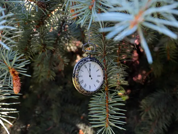 Orologio Epoca Uno Squisito Cofanetto Metallo Prezioso Appeso Ramo Albero — Foto Stock