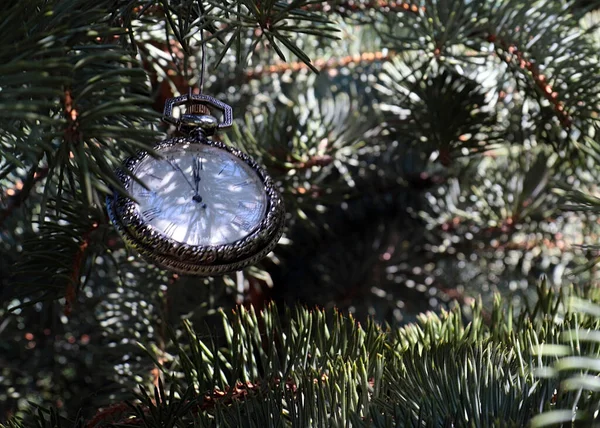 Orologio Epoca Uno Squisito Cofanetto Metallo Prezioso Appeso Ramo Albero — Foto Stock