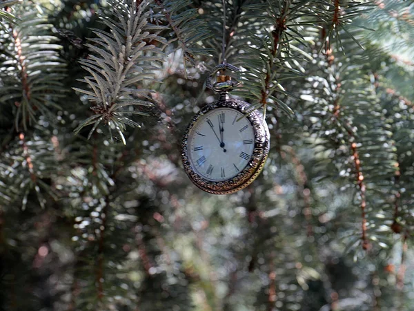 クリスマスツリーの枝に貴金属の絶妙なケースにアンティークの時計がかかっています — ストック写真