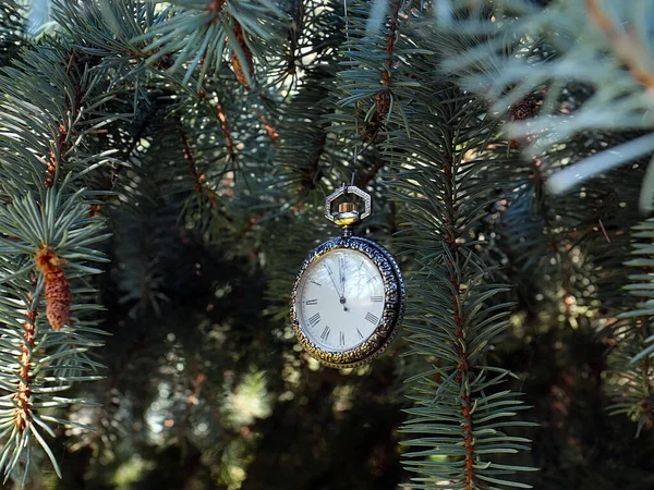 금속이 골동품 시계가 크리스마스 가지에 — 스톡 사진