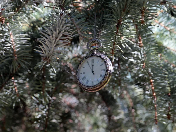 Reloj Antiguo Una Caja Exquisita Metal Precioso Cuelga Una Rama — Foto de Stock