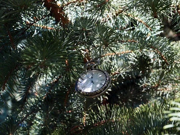 Une Montre Antique Dans Cas Exquis Métal Précieux Accroché Sur — Photo