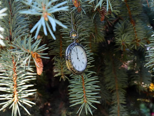 Антикварные Часы Изысканном Ящике Драгоценного Металла Висят Ветке Рождественской Елки — стоковое фото