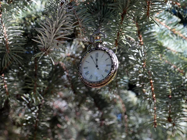 Reloj Antiguo Una Caja Exquisita Metal Precioso Cuelga Una Rama — Foto de Stock