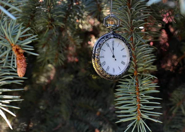 Relógio Antigo Caso Requintado Metal Precioso Pende Ramo Uma Árvore — Fotografia de Stock