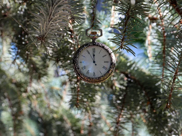 Orologio Epoca Uno Squisito Cofanetto Metallo Prezioso Appeso Ramo Albero — Foto Stock