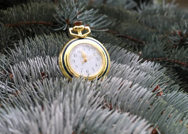 Orologio Tasca Antico Appeso Ramo Albero Natale — Foto Stock