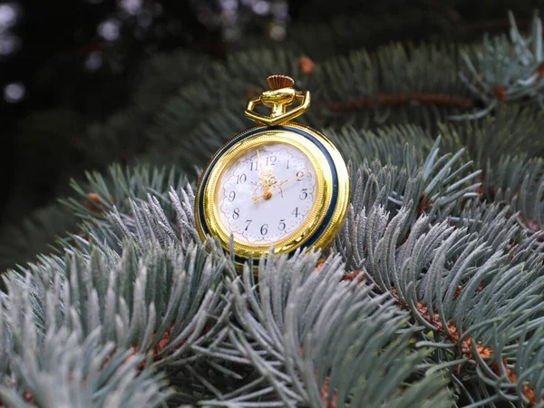 Orologio Tasca Antico Appeso Ramo Albero Natale — Foto Stock