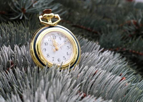 Orologio Tasca Antico Appeso Ramo Albero Natale — Foto Stock