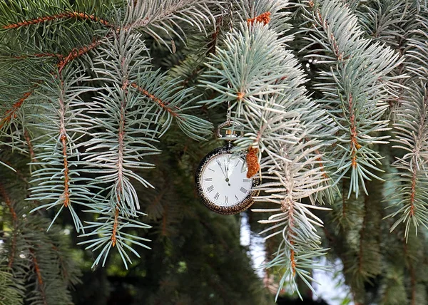 Ρολόι Τσέπης Vintage Κρέμεται Ένα Κλαδί Ενός Νέου Έτους Χριστουγεννιάτικο — Φωτογραφία Αρχείου