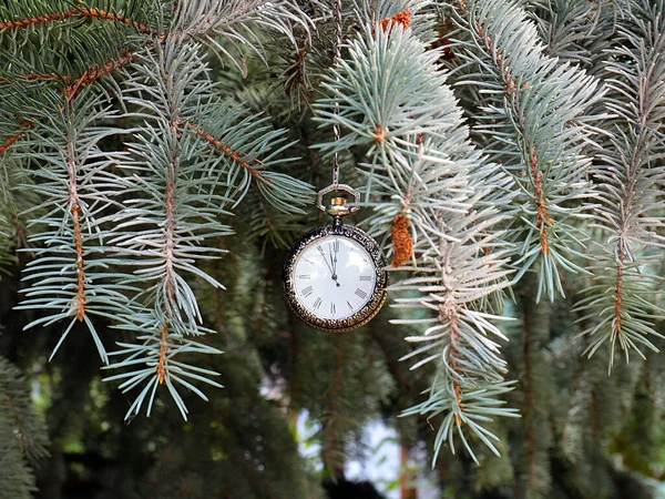 Vintage Pocket Watch Hanging Branch New Year Christmas Pine Tree — Stock Photo, Image