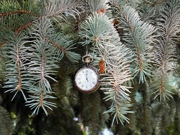 Relógio Bolso Vintage Pendurado Ramo Pinho Natal Ano Novo — Fotografia de Stock