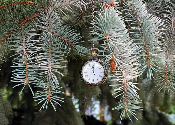 Reloj Bolsillo Vintage Colgando Una Rama Pino Navidad Año Nuevo — Foto de Stock