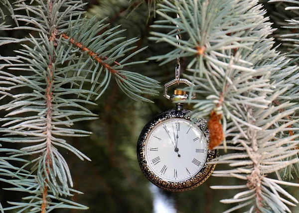 Zabytkowy Zegarek Kieszonkowy Wiszący Gałęzi Choinki Nowego Roku — Zdjęcie stockowe