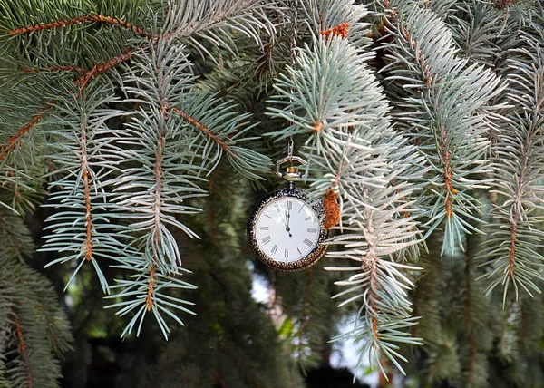 Reloj Bolsillo Vintage Colgando Una Rama Pino Navidad Año Nuevo — Foto de Stock