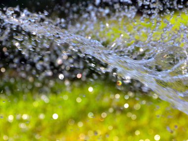 Çimenleri sularken temiz su akışı