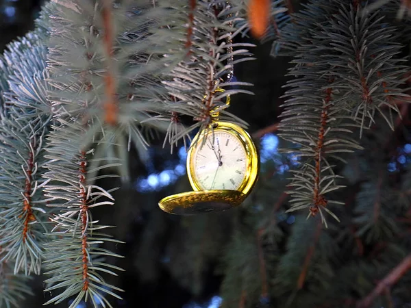 Antique Pocket Watch Hanging Christmas Tree Branch — Stock Photo, Image