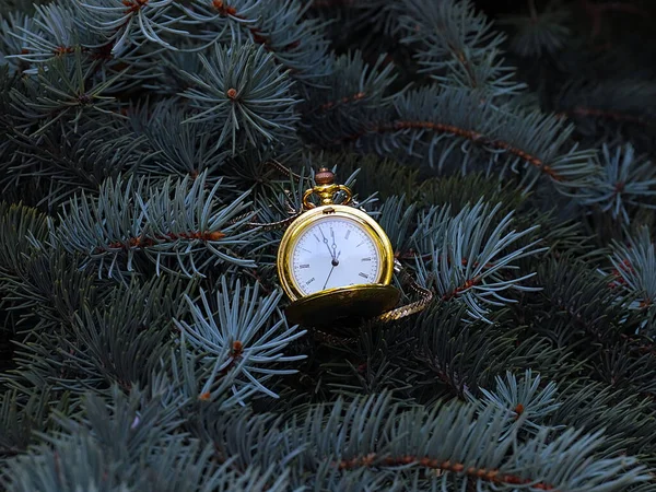 Orologio Tasca Antico Appeso Ramo Albero Natale — Foto Stock