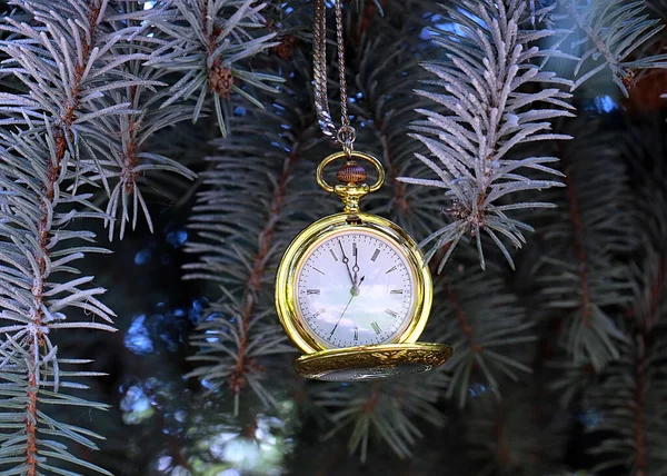 Antique Pocket Watch Hanging Christmas Tree Branch — Stock Photo, Image