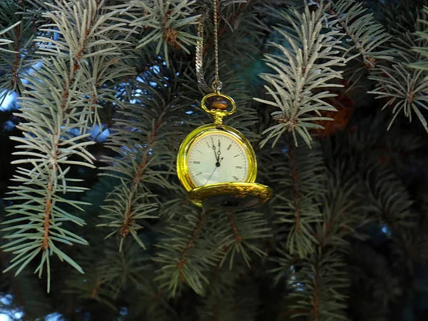 Antike Taschenuhr Hängt Einem Ast Des Weihnachtsbaums — Stockfoto
