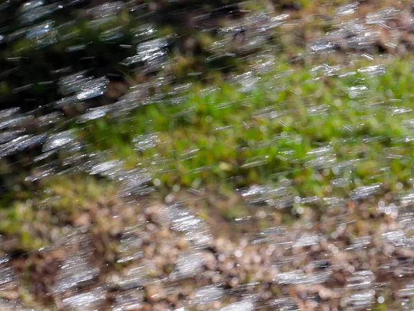 Helder Water Stromen Bij Het Besproeien Van Vers Gazon Gras — Stockfoto