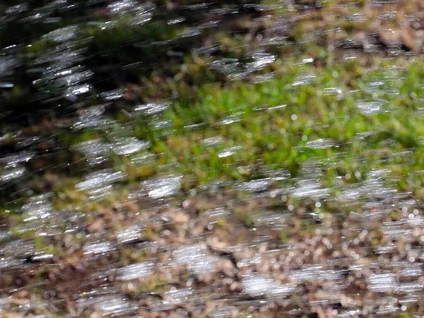 新鮮な芝生に水をやると — ストック写真