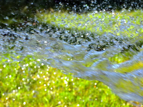 Helder Water Stromen Bij Het Besproeien Van Vers Gazon Gras — Stockfoto