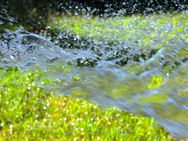 Clear Water Flow Watering Fresh Lawn Grass — Stock Photo, Image