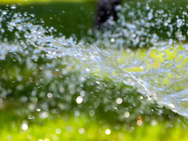 Flujo Agua Clara Regar Césped Fresco Hierba — Foto de Stock