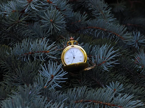 Antique Pocket Watch Hanging Christmas Tree Branch — Stock Photo, Image