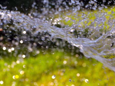 Çimenleri sularken temiz su akışı