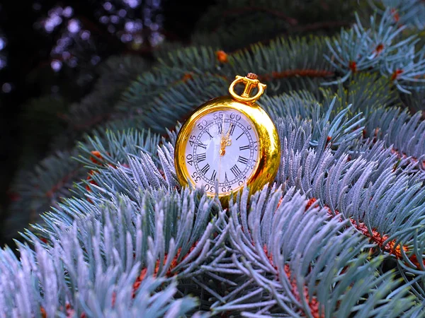 金の懐中時計クリスマス松の枝を飾る — ストック写真