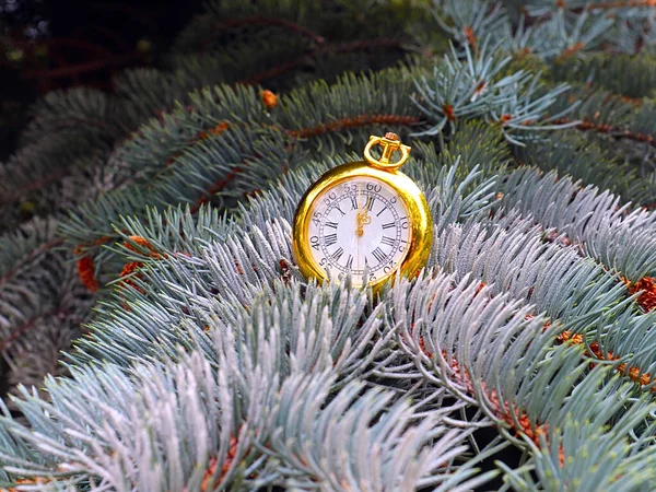 金の懐中時計クリスマス松の枝を飾る — ストック写真