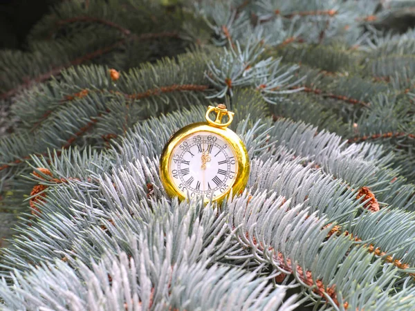 Gouden Zakhorloge Versieren Takken Van Kerst Dennen — Stockfoto