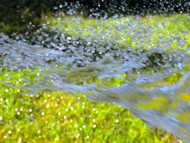Çimenleri sularken temiz su akışı