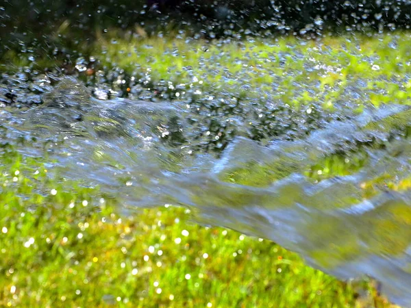 Průtok Čisté Vody Při Zavlažování Čerstvé Trávy — Stock fotografie