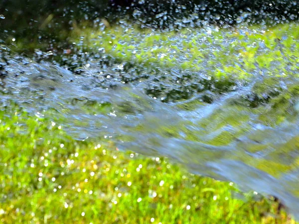 Klart Vattenflöde Vid Vattning Färsk Gräsmatta Gräs — Stockfoto