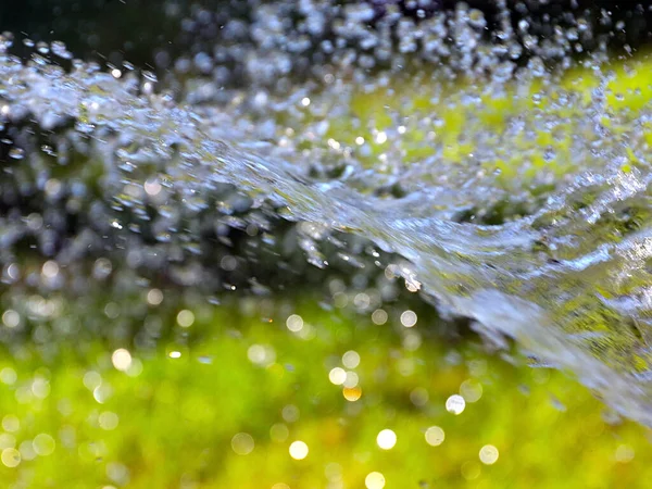 Чистий Потік Води Поливі Свіжої Газонної Трави — стокове фото