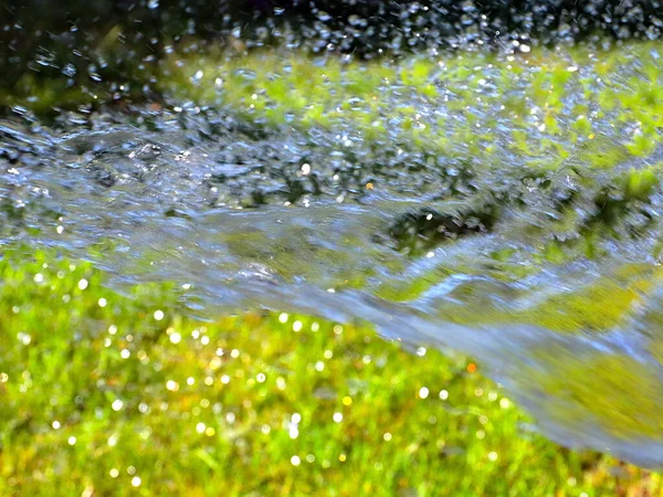 Helder Water Stromen Bij Het Besproeien Van Vers Gazon Gras — Stockfoto