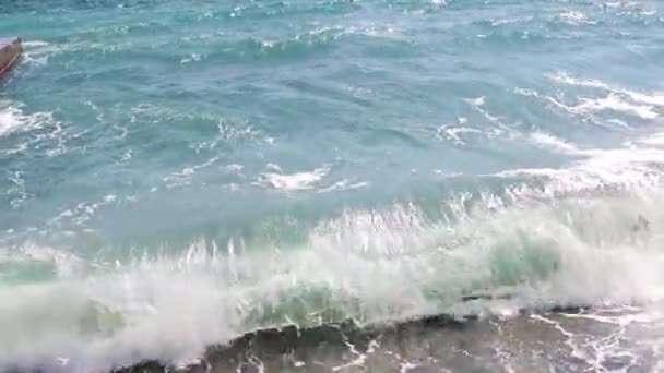 Stormy Sea Wave Coastal Beach — Stock Video