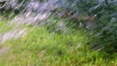 Fırtınalı su akıntısı çimlerin yeşil çimlerine düşüyor.