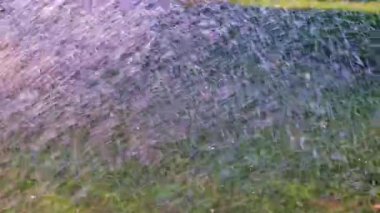 Fırtınalı su akıntısı çimlerin yeşil çimlerine düşüyor.