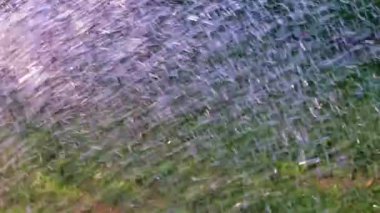 Fırtınalı su akıntısı çimlerin yeşil çimlerine düşüyor.