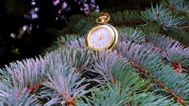 Altın bir çantanın içindeki antika saat bir Noel ağacının dalında yatıyor.