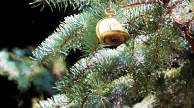 Altın bir çantanın içindeki antika saat bir Noel ağacının dalında yatıyor.
