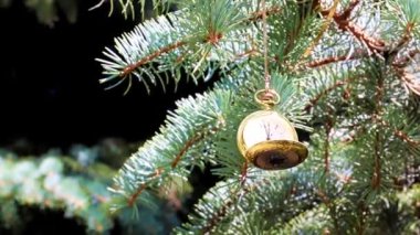 Altın bir çantanın içindeki antika saat bir Noel ağacının dalında yatıyor.